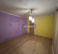 A room in a 2-room apartment with purple and yellow walls, a floor with a wooden decor.