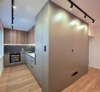 Kitchen area of a 3-room apartment with a wooden decor floor and ceiling track lighting.
