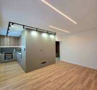 3-room apartment with wood-patterned flooring and a built-in kitchen.