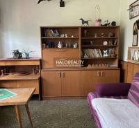 A living room in a family house with retro furniture, a sofa, and rugs on a green carpet.