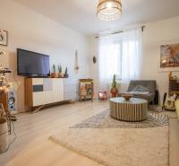 Living room with wood-patterned flooring, a sofa, and decorations in a two-room apartment.