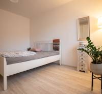 Bedroom with wood-patterned flooring, a plant, and a dresser in a two-room apartment.