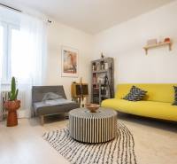 Living room of a two-room apartment with a colorful sofa, a cactus, and a wooden decor floor.