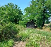 A garden with a wooden cottage in Nevidzany, surrounded by lush vegetation and trees.