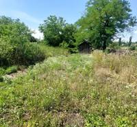 A garden by a family house in Nevidzany with tall grass, trees, and a wooden cottage.