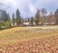 A snowy meadow with conifers on the edge of Čierne in Makov, suitable for living.