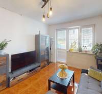 Living room in a 3-room apartment with a wooden decor floor and houseplants.