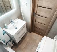 Bathroom in a 2-room apartment with a sink, mirror, and wooden door.