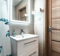 Bathroom with a sink, mirror, patterned curtain, and wooden decor door in a 2-room apartment.