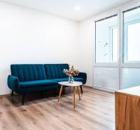 Living room in a two-room apartment with a sofa, wooden decor flooring, and a coffee table.