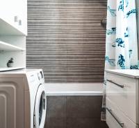 A bathroom in a 2-room apartment with a shower curtain, washing machine, and storage space.