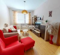 Living room in a two-room apartment with a wooden decor floor and red armchairs.
