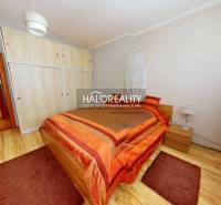 Bright bedroom in a 2-room apartment with wood-patterned flooring and a built-in wardrobe.