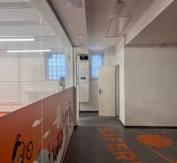 Interior of commercial spaces with graphic decorations on the partition and floor.