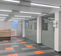 Commercial spaces with glass walls and patterned flooring with a wood design.