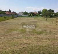 A well-maintained lawn in Marcelová's gardens with a view of the surrounding houses.