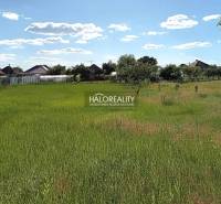 Grassy areas in the gardens of Marcelová, surrounded by houses in sunny weather.