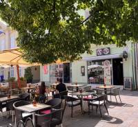 The terrace of the restaurant under the trees at Hlavná 74 in Košice - Old Town district.