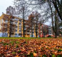 A view of the apartment building on Ľudová Street in the Západ district, Košice, from the autumn park.