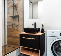Bathroom in a 2-room apartment with wooden decor, black sink, and washing machine.