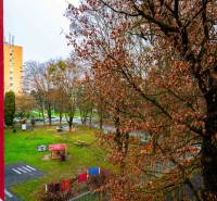 View of the playground and trees from a 2-room apartment on Ľudová Street in Košice.