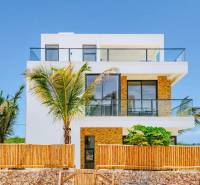 A villa in Fumba Town with glass balconies and exotic palm trees in the foreground.