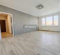 Living room in a two-room apartment with a wooden decor floor and large windows.