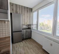 A kitchen in a 2-room apartment with a light wood-patterned floor and large windows.