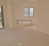 Interior of a family house with a large window, white walls, and patio doors.