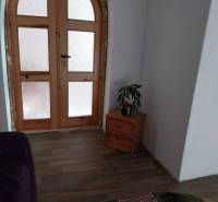 Arched wooden door, table with a plant, carpet, and floor with wooden decor in a family house.