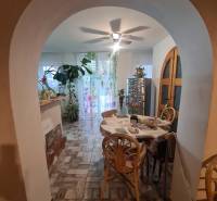 Dining room in a family house with plants and wooden chairs, illuminated by a ceiling fan.