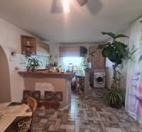Interior of a family house with a kitchen, houseplants, and a wooden-patterned floor.