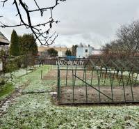 A garden at a family house in Prievidza with a lawn and a structure for cultivation.