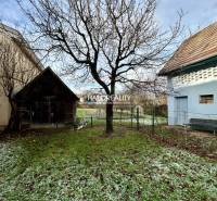 A snowy garden next to a family house in Prievidza with a wooden shed and a tree.