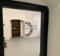 The interior of offices with white walls and black decorations, plants on the floor.