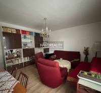 Living room in a 3-room apartment with a wooden decor floor and red armchairs.