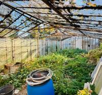 An abandoned greenhouse in the area of a family house in Brodzany, overgrown vegetation, old structures.