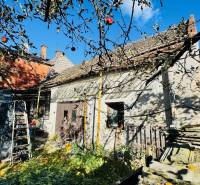A family house in Brodzany with a garden and fruit trees, blue sky, sunny day.