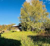 A family house in Brodzany surrounded by greenery and trees under a clear blue sky.