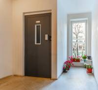 Hallway with an elevator and plants in a 4-room apartment.