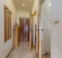 A hallway with coat racks and a wardrobe in a 3-room apartment with ceramic tiles.