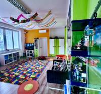 Colorful playroom with a decorated ceiling, carpet, and toys, wooden decor flooring in offices.