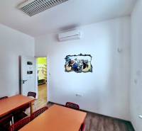 Offices with wood-patterned flooring, desks and chairs, wall painting.