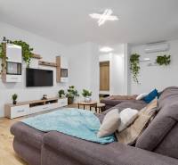 Living room with a comfortable gray sofa, wood-patterned flooring, and green plants.