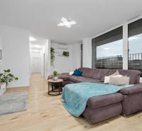 Living room with a large sofa, wooden decor flooring, and plants in a 3-room apartment.