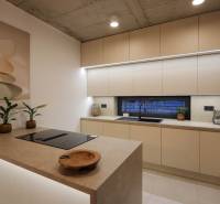 A kitchen in a family house with plants and a sink, flooring with a wooden decor.