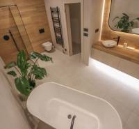 A bathroom in a family house with a bathtub, double sink, wood-patterned floor, and a plant.