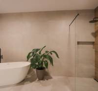 A bathroom in a family house with a bathtub, a plant, a shower, and tiles.