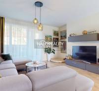 Living room in a family house with a comfortable sofa and a wooden decor floor.