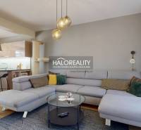 A spacious living room in a family house with a sofa, a kitchenette, and a wooden decor floor.